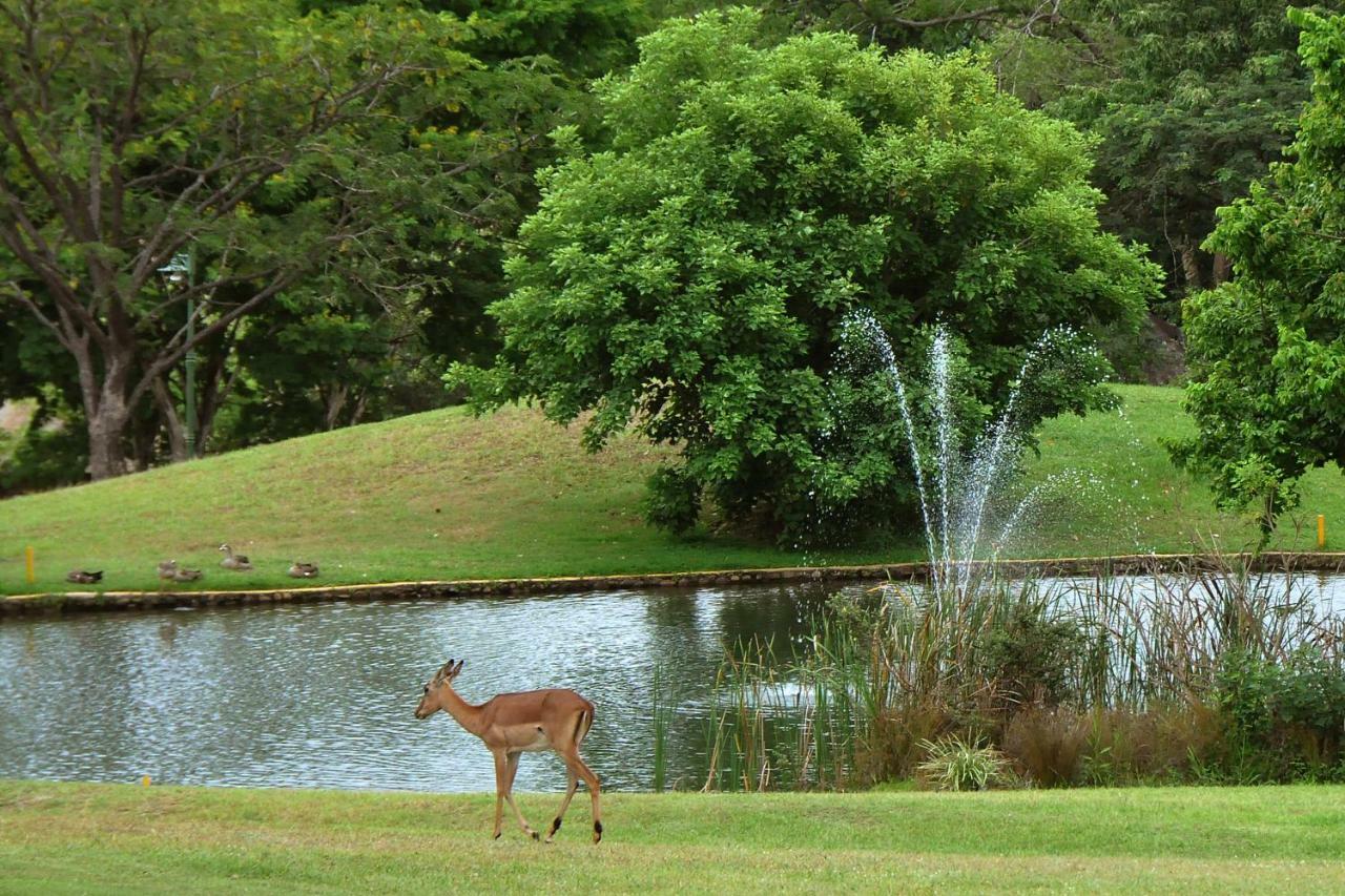 Kruger Park Lodge Unit No. 524 Hazyview Zewnętrze zdjęcie